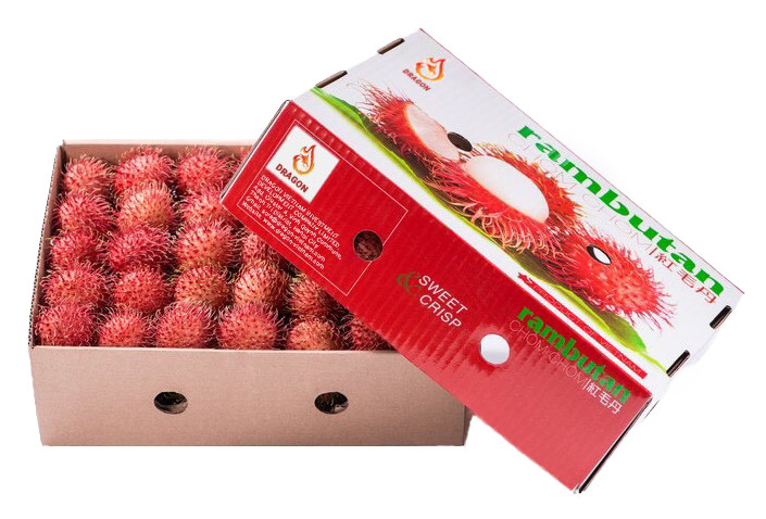 https://dragon-vietnam.com/47e15db0dbe28c8934c114170158fdef (1)